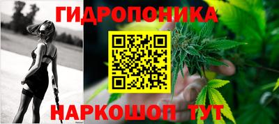 СК Лесосибирск