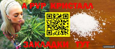 СК Лесосибирск