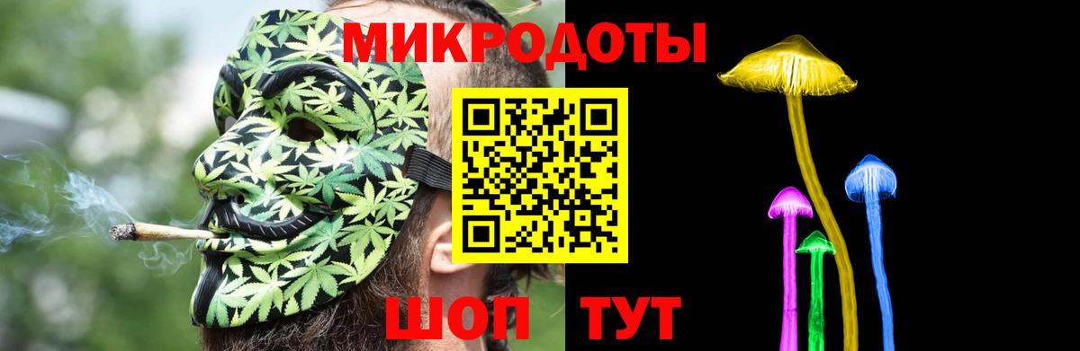 Тамбов  Галлюциногенные грибы MAGIC MUSHROOMS  Псилоцибиновые грибы Psilocybine cubensis  Вход с VPN 